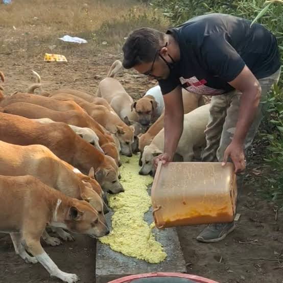 animal ngo in delhi